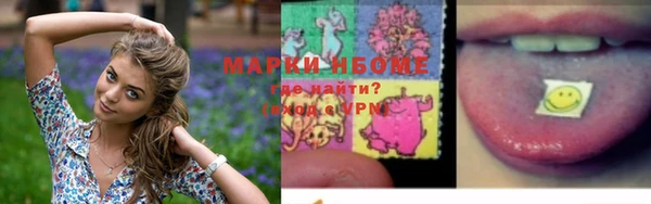 ПСИЛОЦИБИНОВЫЕ ГРИБЫ Алексин