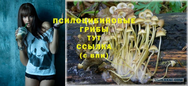 спайс Абаза