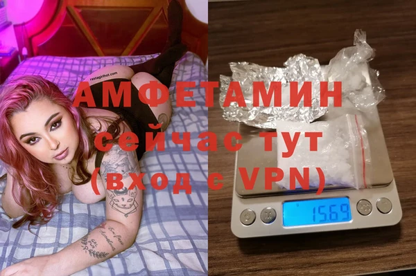 ПСИЛОЦИБИНОВЫЕ ГРИБЫ Алексин