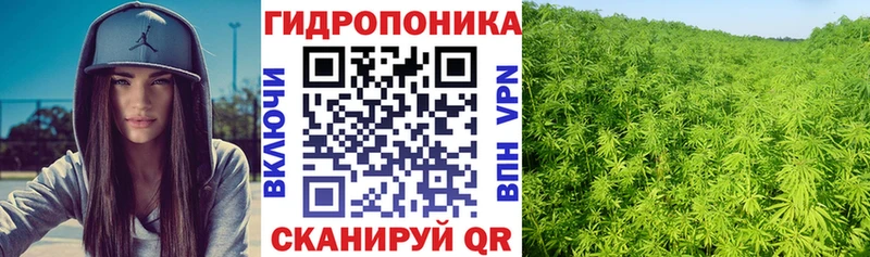 Конопля марихуана  площадка состав  Чердынь  мега маркетплейс 